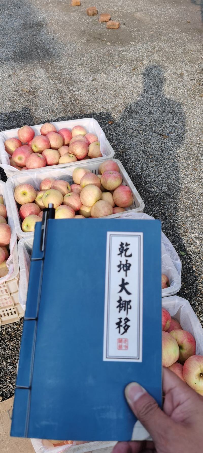 红富士苹果（高残），价格很低，质量好，色泽口感棒。