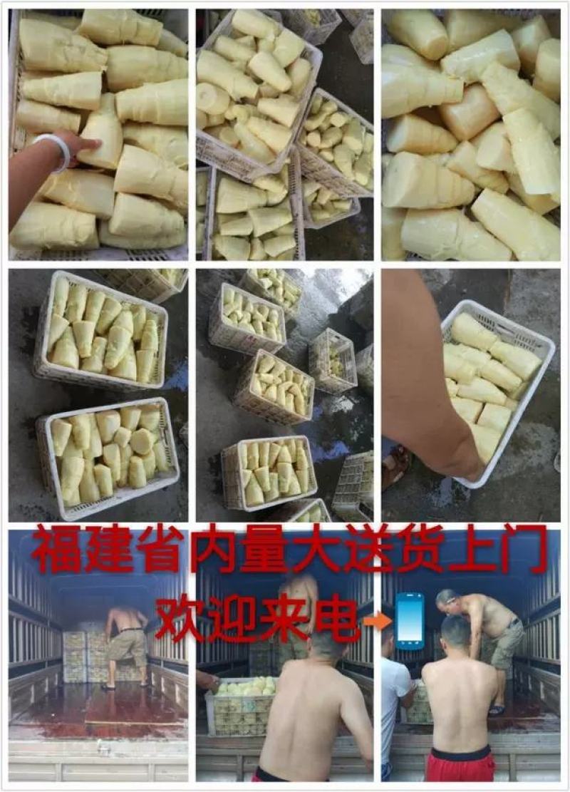 淘山味福建酸笋正宗老坛酸竹笋山泉水泡制酸笋真空装酸菜酸笋