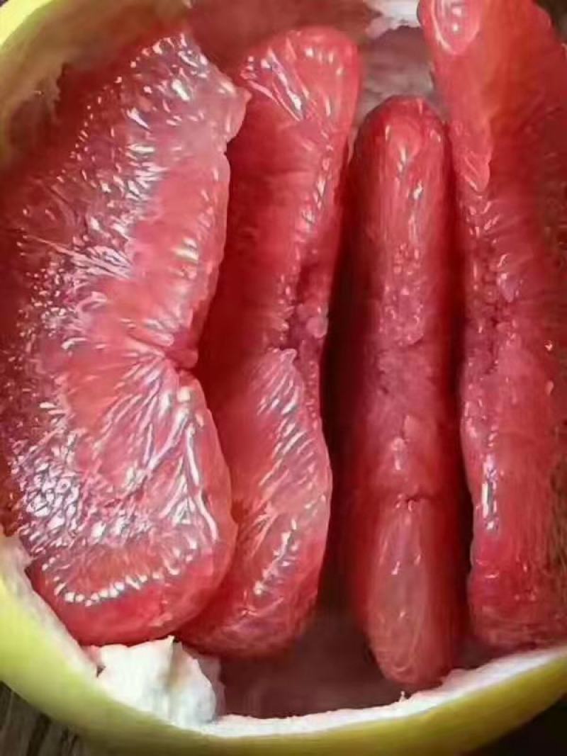 产地大量销售红心琯溪蜜柚，皮薄肉厚口感甜承接各类电商