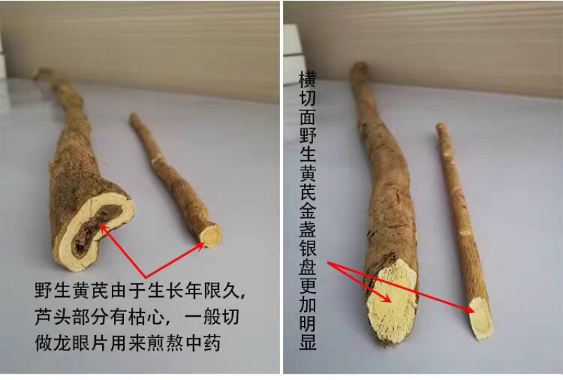 山西浑源野生黄芪纯野生正北芪野生黄芪恒山黄芪晋生堂