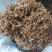 【文斌药业】龙胆草正品无硫无添加地道药材