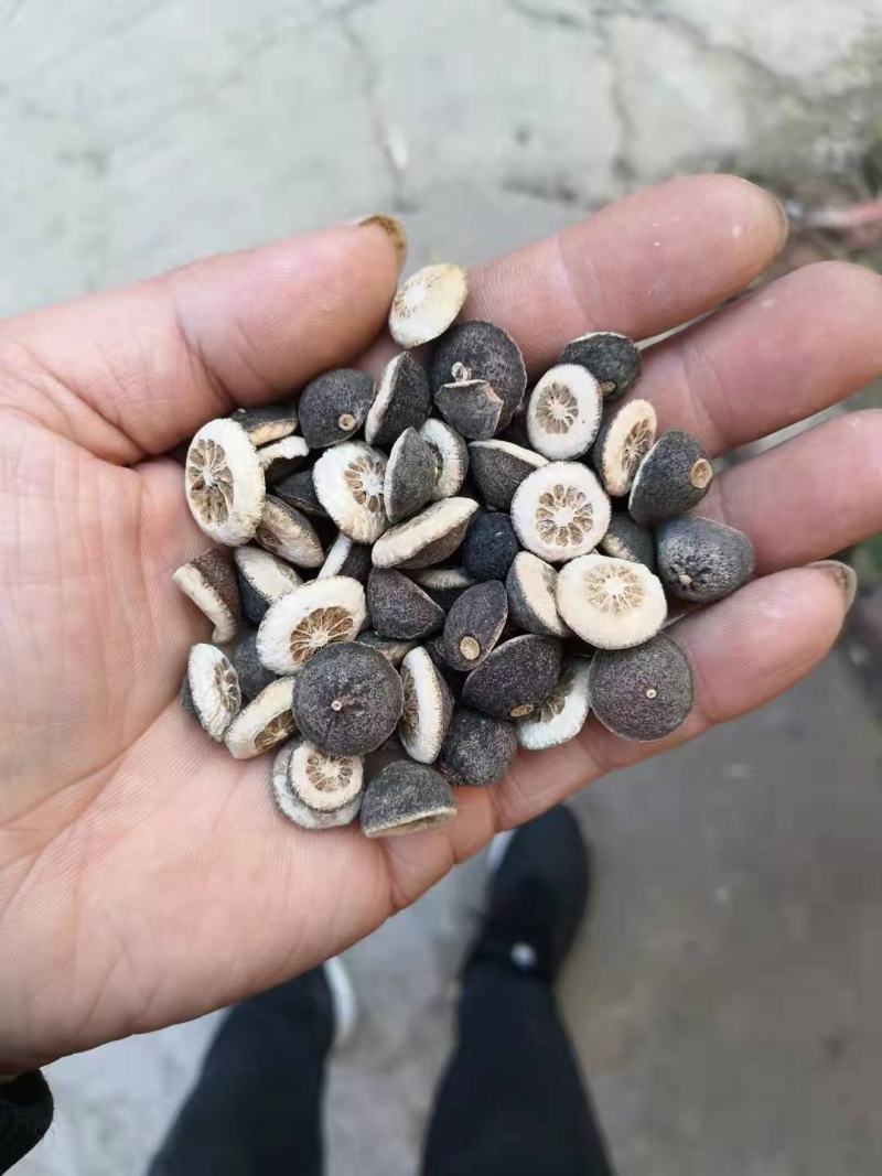 枳实，绿衣枳实对开，片质量保证现货供应欢迎咨询合作！