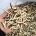 枳壳，正品枳壳片质量保证，经营各种中药材欢迎咨询合作！