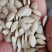 新货椒盐南瓜籽，原味南瓜籽！生南瓜籽，质量好