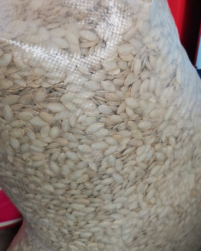 新货椒盐南瓜籽，原味南瓜籽！生南瓜籽，质量好