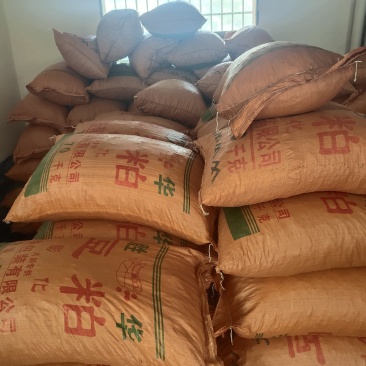 云南老品种小粒软籽黑花生