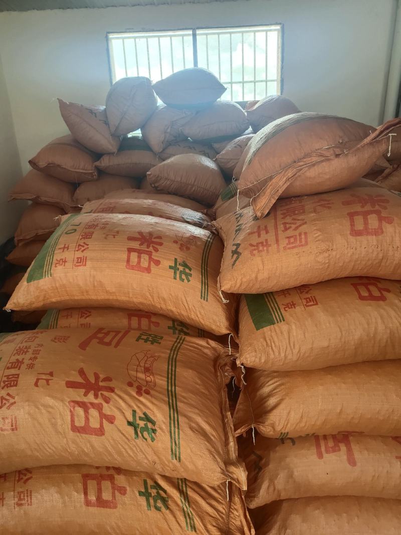 云南老品种小粒软籽黑花生