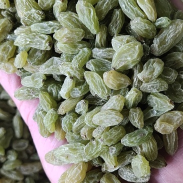 新疆吐鲁番葡萄干原产地发货大颗粒中颗粒小颗粒