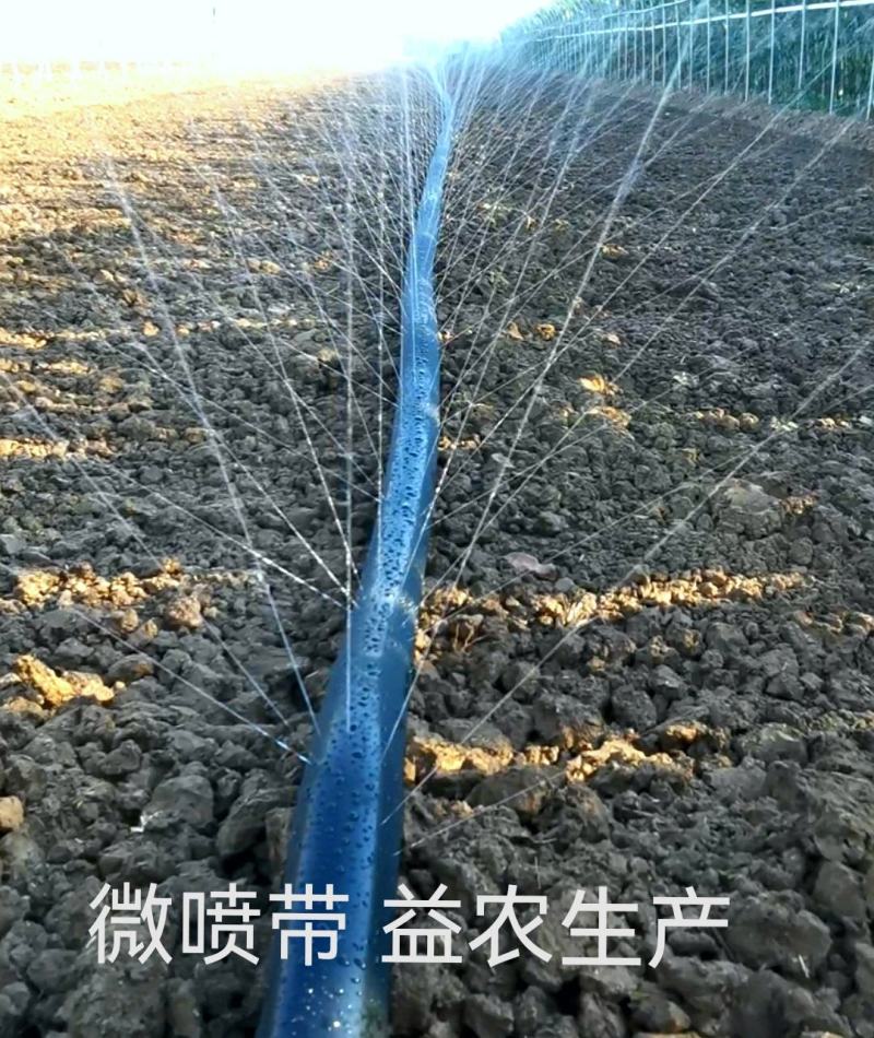 微喷带高压雾化微喷水带直径28--63毫米喷灌带