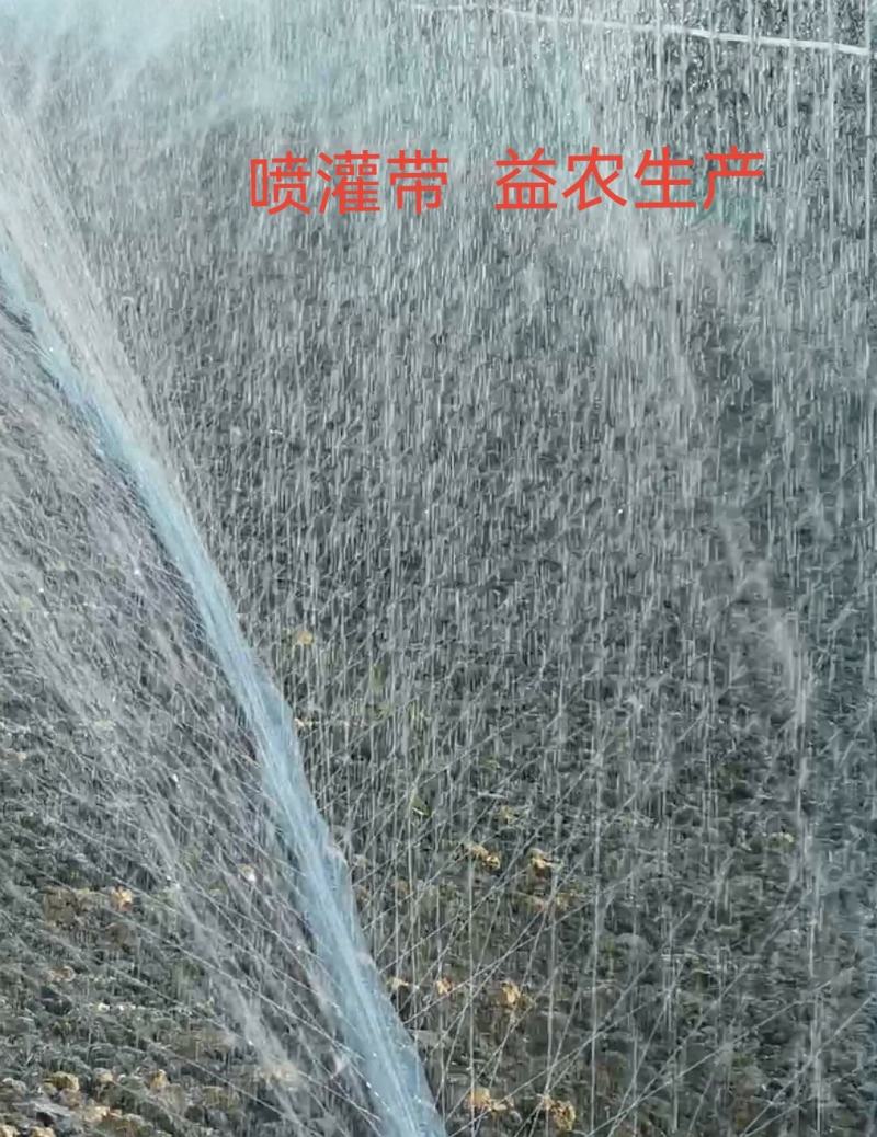 微喷带高压雾化微喷水带直径28--63毫米喷灌带