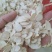 隔山消，精品白首乌片质量保证，经营各种中药材欢迎咨询合作