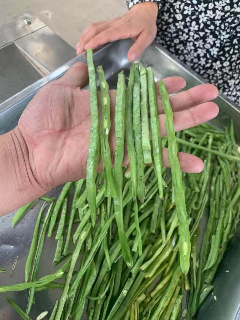 豆角丝烘干机，豆角切丝机，豆角丝烘干设备，