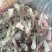 鹿茸菇(包邮)，3斤起批发，零售量大从优
