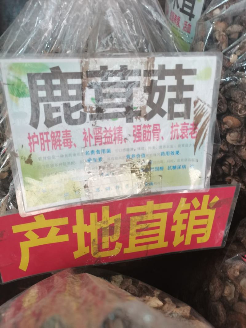 鹿茸菇(包邮)，3斤起批发，零售量大从优