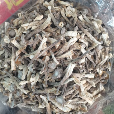鹿茸菇(包邮)，3斤起批发，零售量大从优
