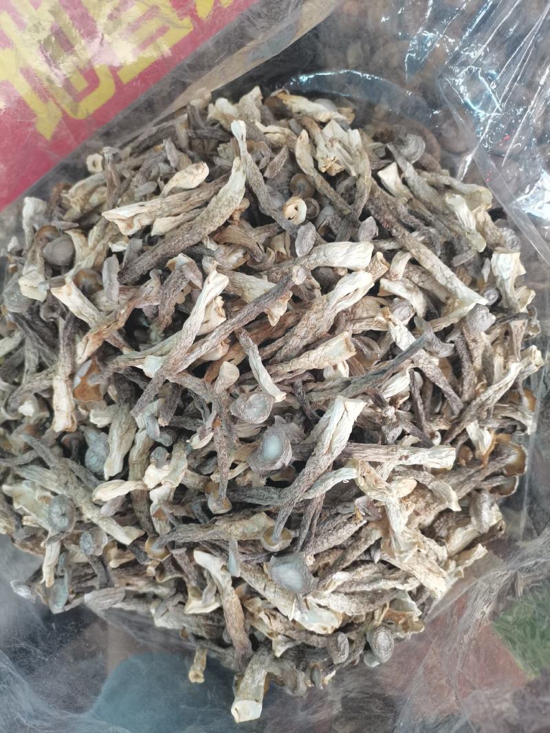 鹿茸菇(包邮)，3斤起批发，零售量大从优