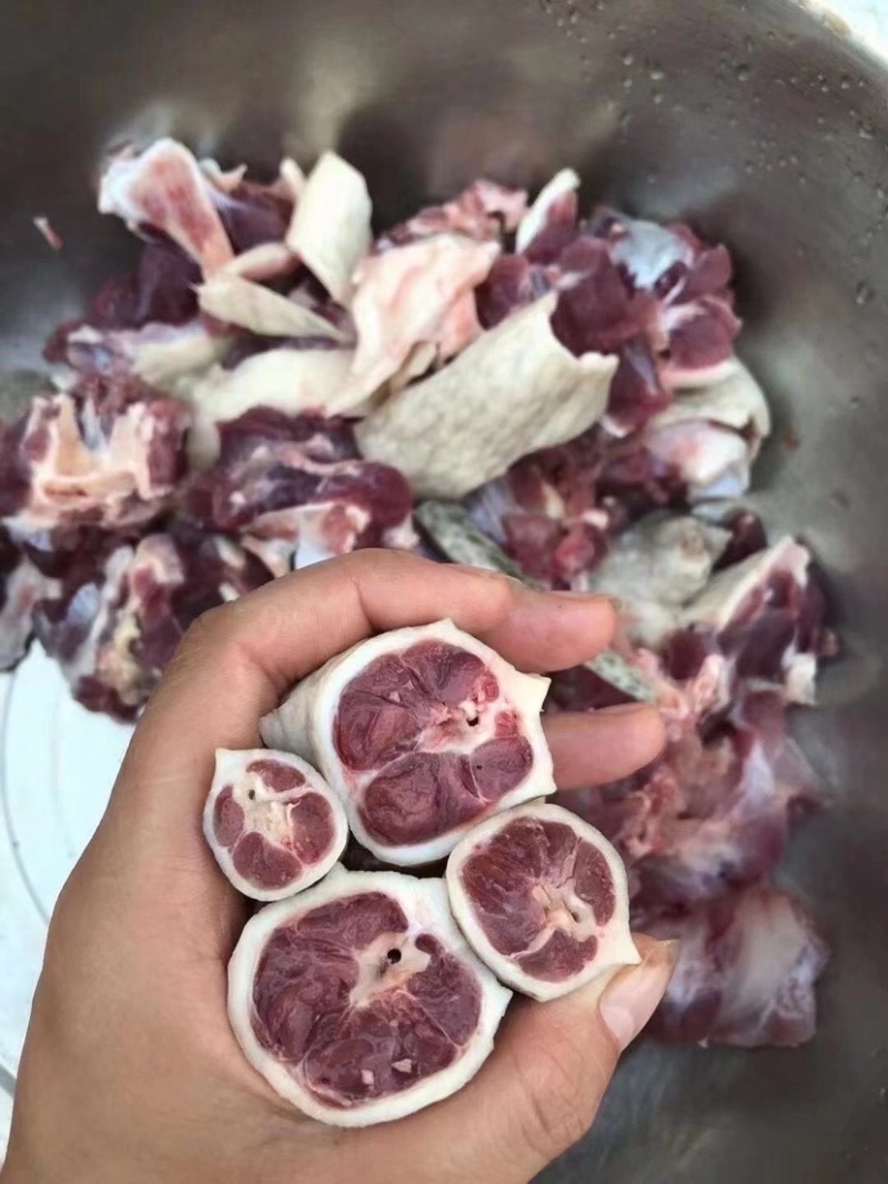 自家养殖老种鳄龟，食用留种均可