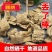 丢了棒批发零售中药材正品保障各种规格专业经营中药批