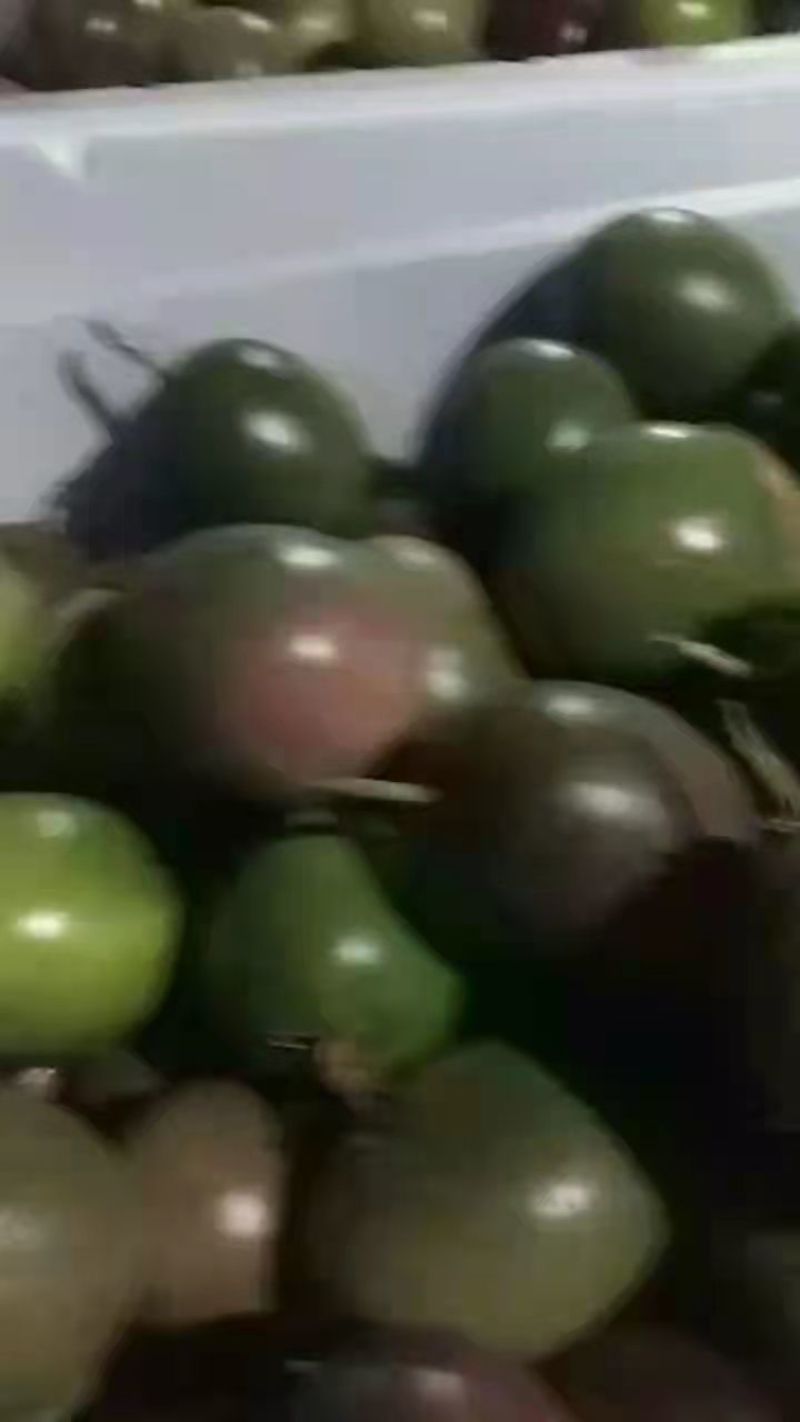 精品紫香百香果上市自家果园种植货源充足量大从优