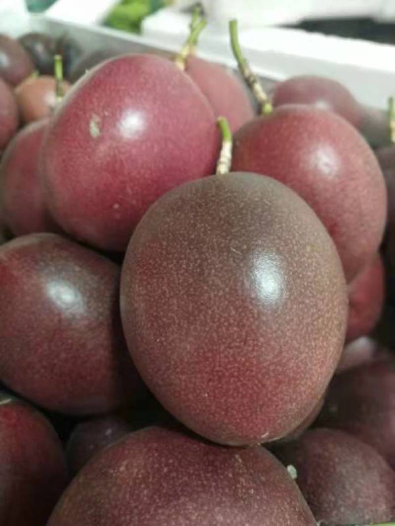 精品紫香百香果上市自家果园种植货源充足量大从优