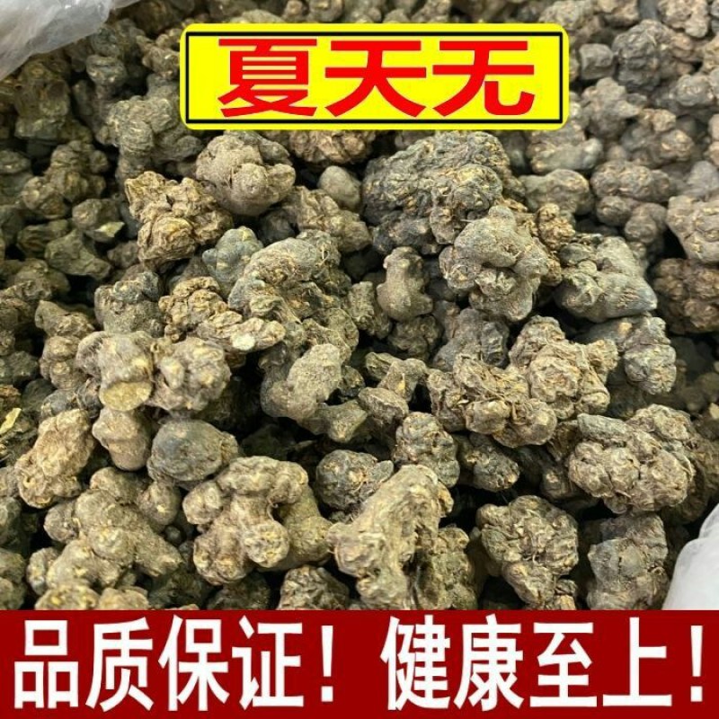 夏天无中药材一粒金丹夏天舞野延胡飞来牡丹