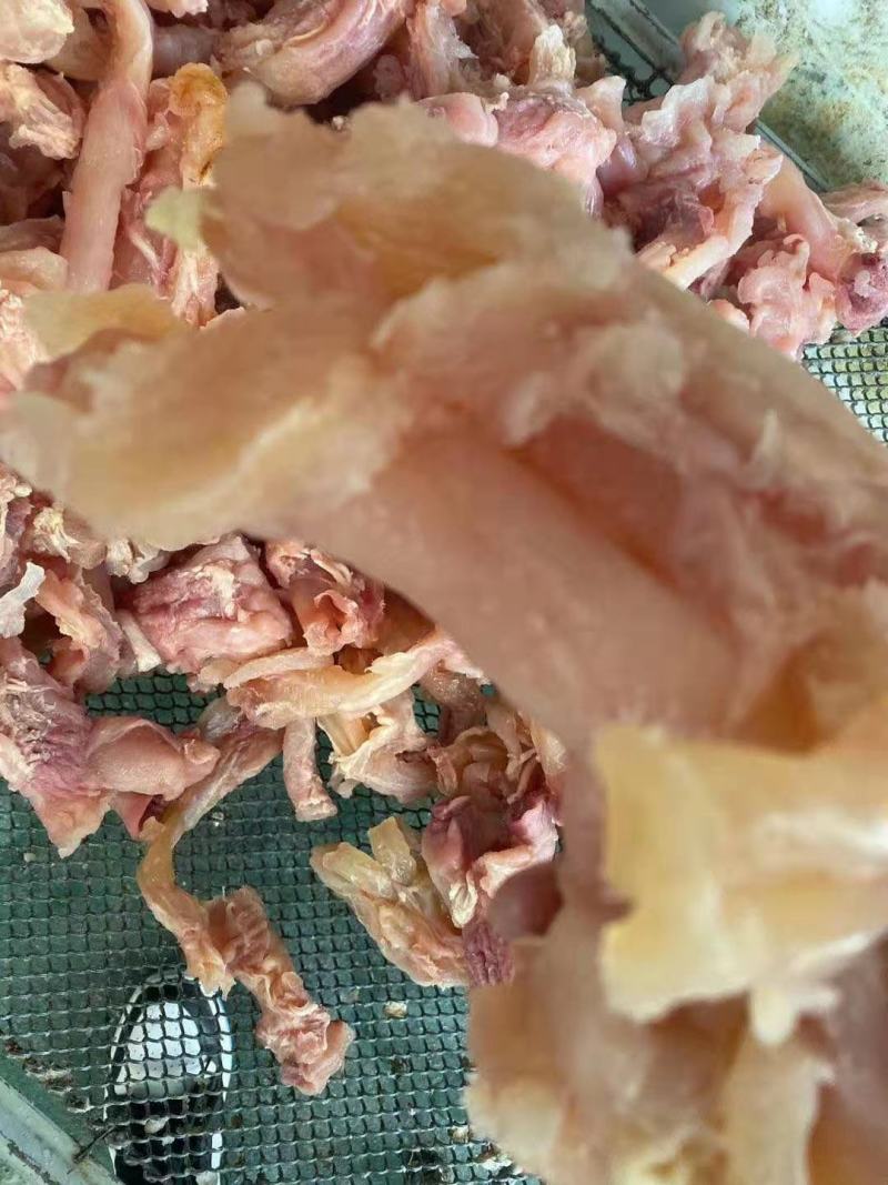 牛主筋