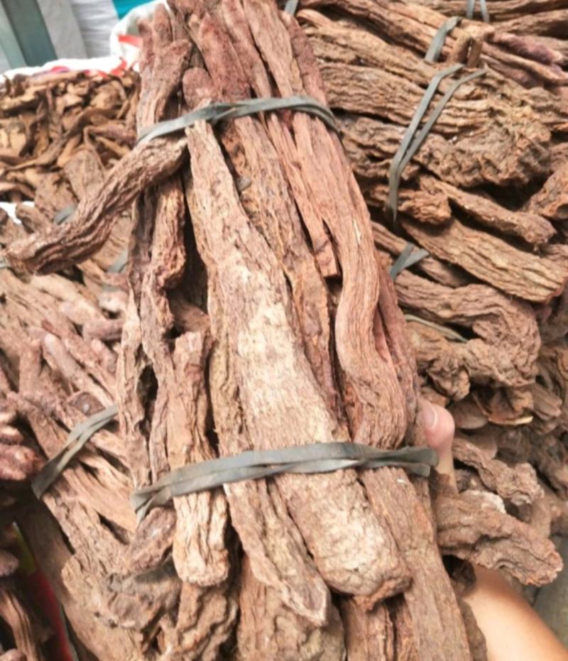振兴药材批发供应选锁阳个规格齐全产地直供一手货源全国发货