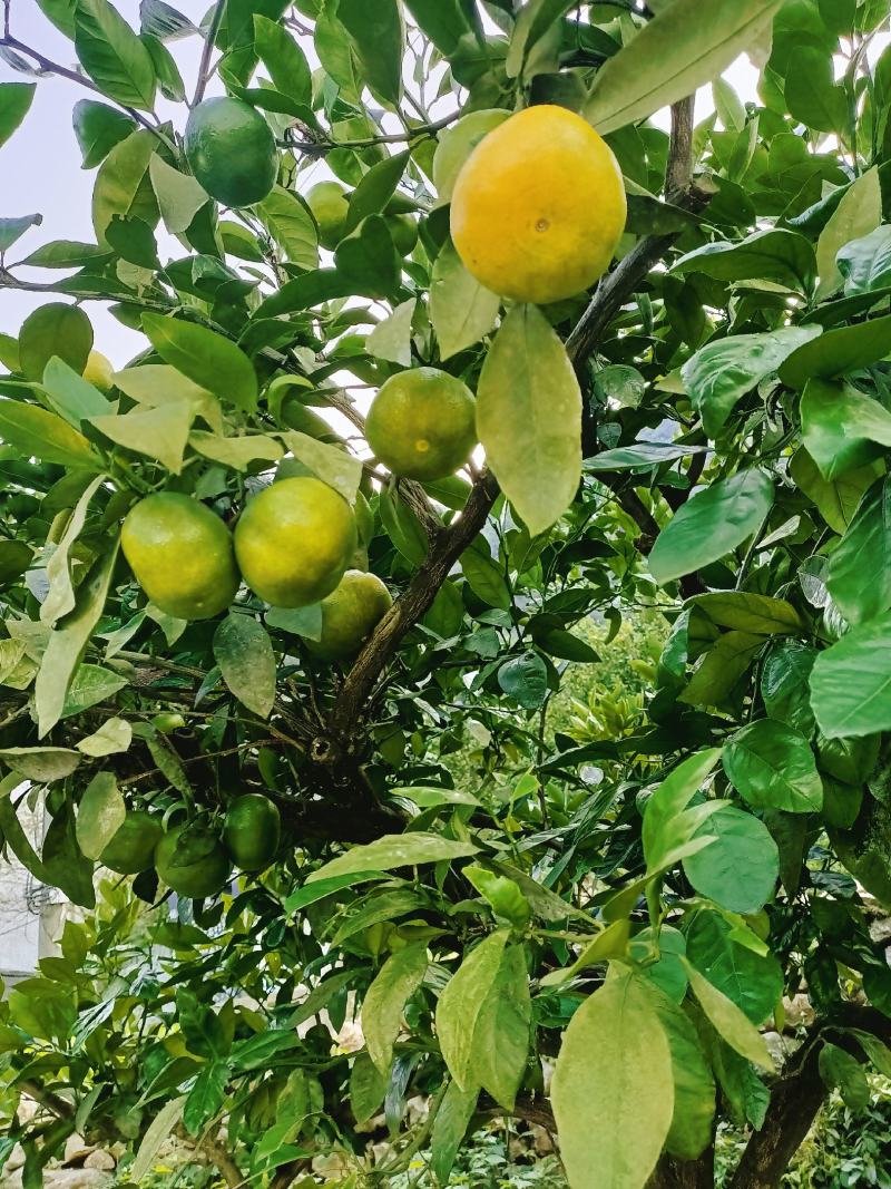 诚信接待每一位客户是我的职责所在，品质有保障！