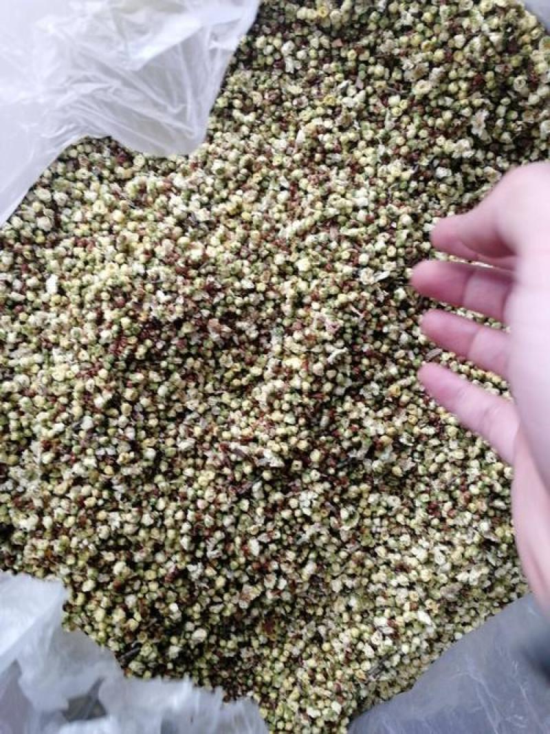 梅花，选装绿梅花质量保证，经营各种中药材欢迎咨询合作！