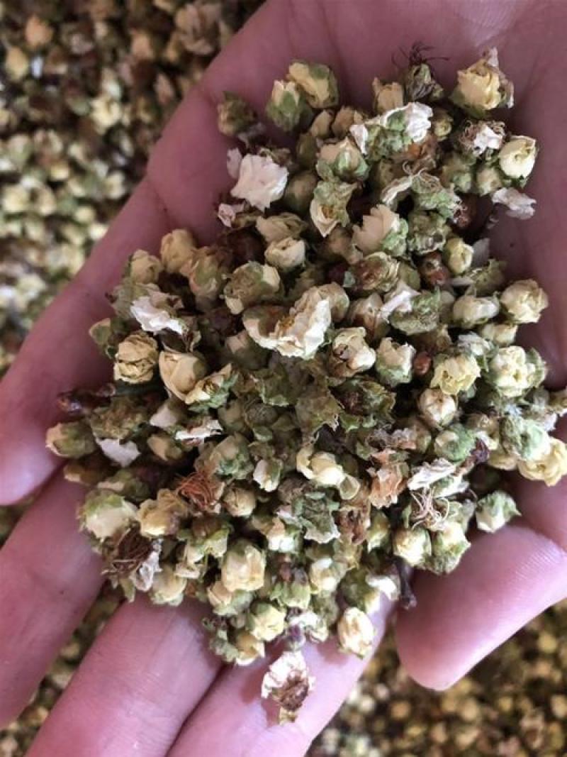 梅花，选装绿梅花质量保证，经营各种中药材欢迎咨询合作！