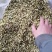 梅花，选装绿梅花质量保证，经营各种中药材欢迎咨询合作！