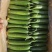精品小黄瓜：电商：超市货量充足:精品：通货：次品：