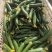 精品小黄瓜：电商：超市货量充足:精品：通货：次品：
