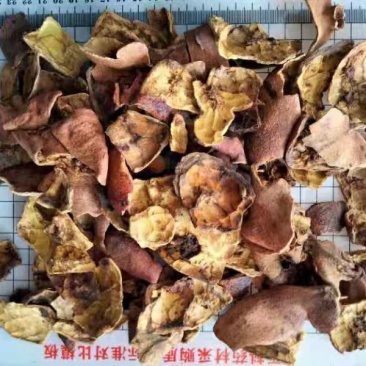 石榴皮干货干净无杂质常年经营各种中药材