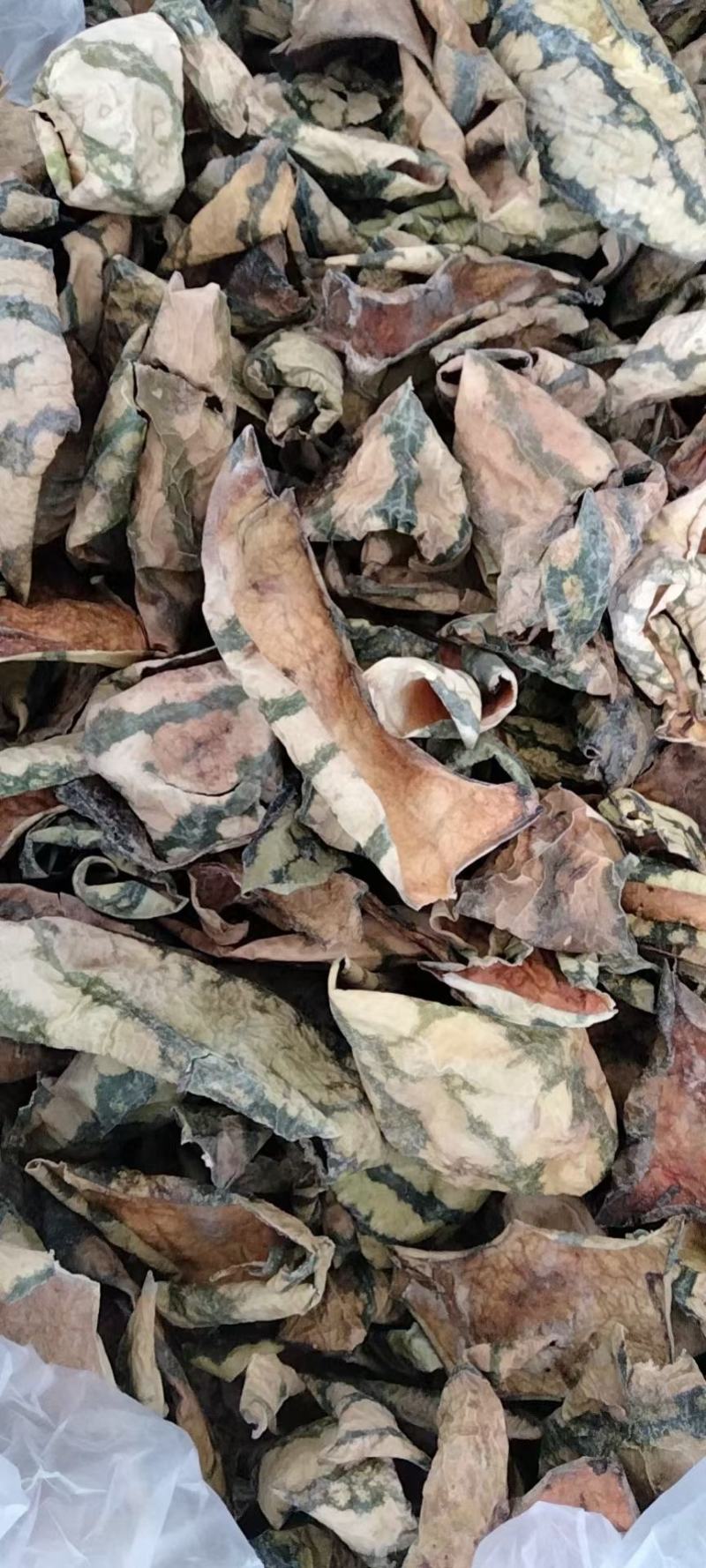 西瓜皮量大从优干货干净无杂质