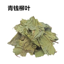 青钱柳，青钱柳叶质量保证，经营各种中药材欢迎咨询合作！
