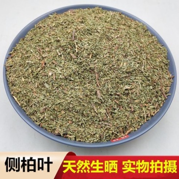 侧柏叶，中药材侧柏叶质量保证，经营各种中药材欢迎咨询合作