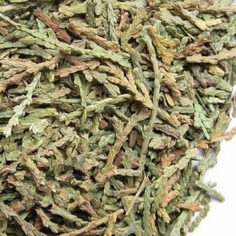 侧柏叶，中药材侧柏叶质量保证，经营各种中药材欢迎咨询合作