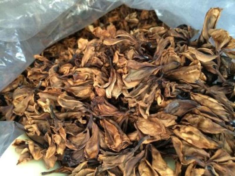 鸡蛋花，进口鸡蛋花质量保证，经营各种中药材欢迎咨询合作！