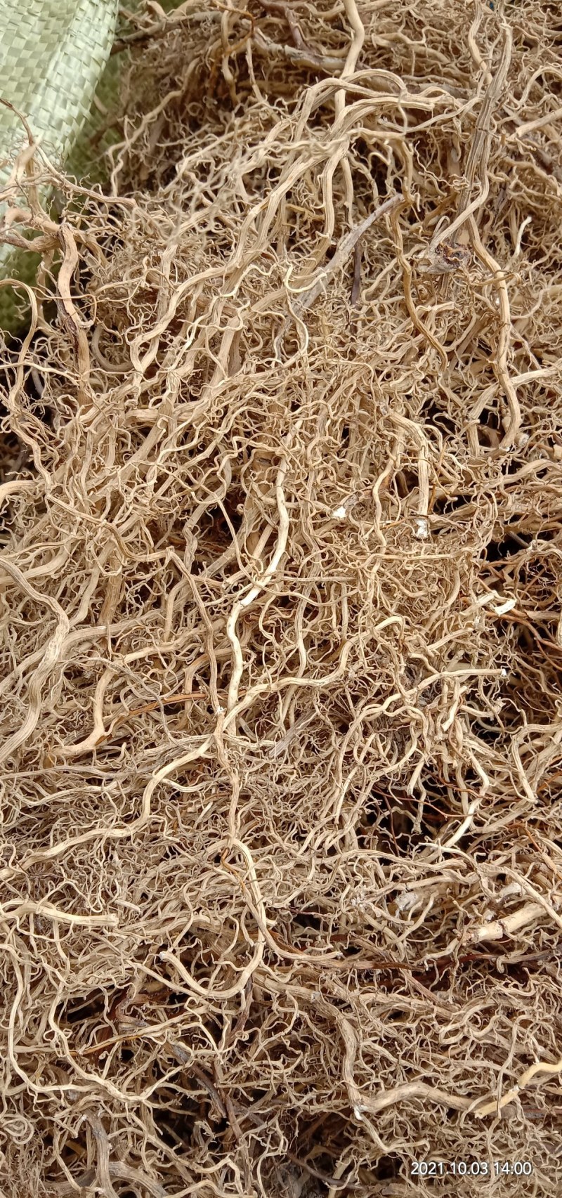 牛尾菜根，牛尾参根，水洗干货批发产地直供欢迎订购