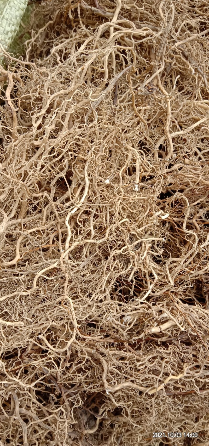 牛尾菜根，牛尾参根，水洗干货批发产地直供欢迎订购