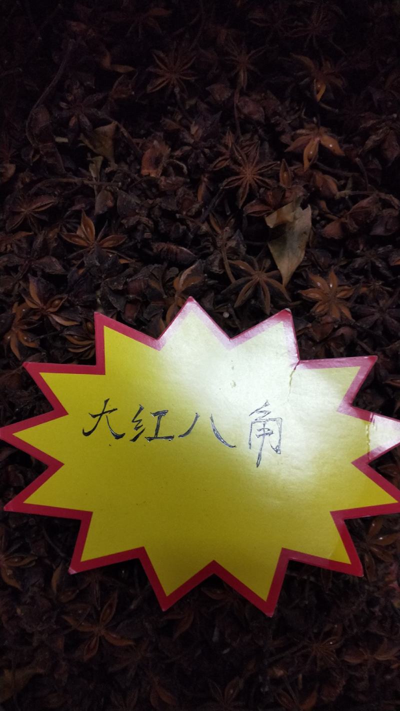 广西省来宾市金秀大瑶山八角