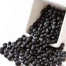 黑豆，绿茬药用黑豆质量保证，经营各种中药材欢迎咨询合作！