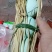 正品土鸡蛋