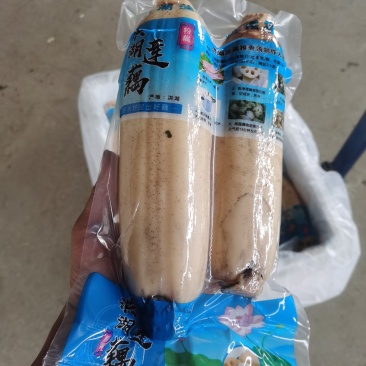 洪湖莲藕，真空包装，千亩基地，农产品地标产品