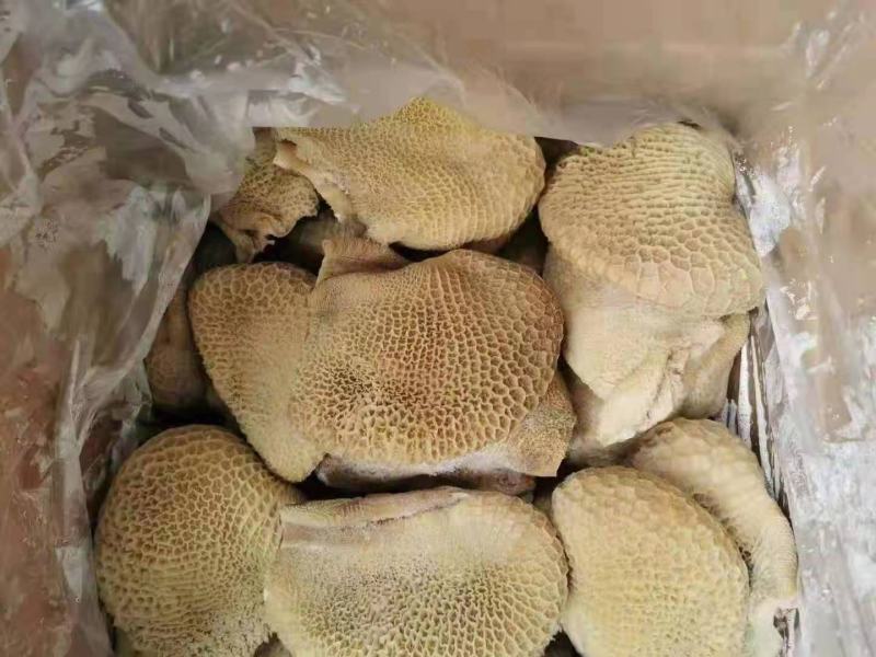 金钱肚，纯干不减乏，质量高，一手货源，全国冷链发货