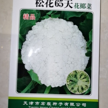 松花菜种子花椰菜绿色青梗早熟65天春秋种植