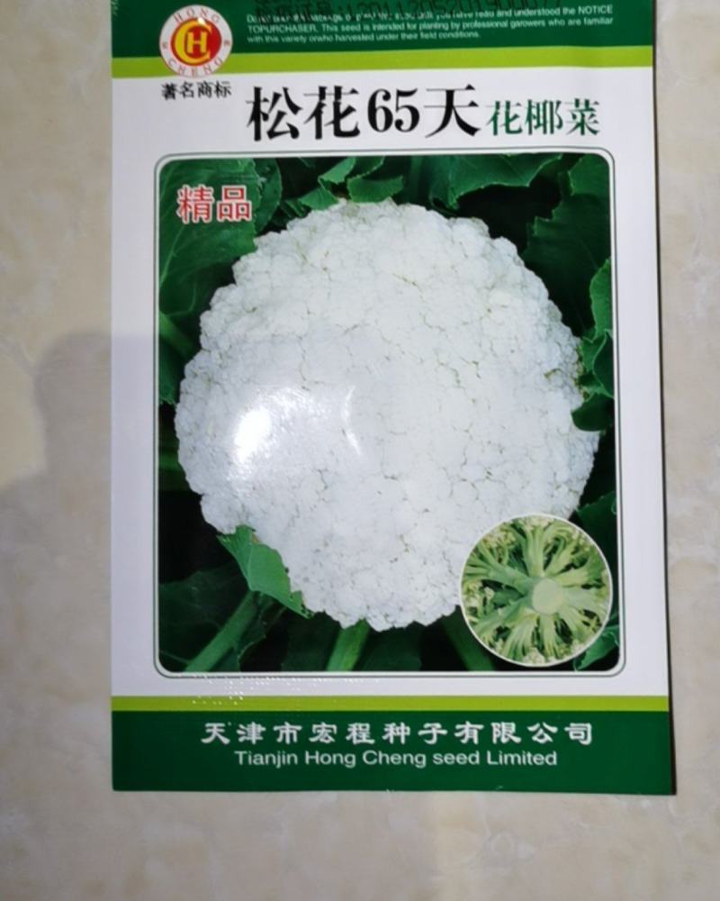 松花菜种子花椰菜绿色青梗早熟65天春秋种植