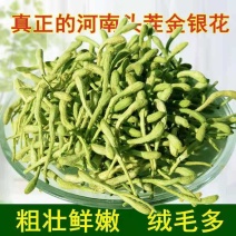 正宗金银花河南封丘带绒毛金银花新货金银花特级无硫干金银花