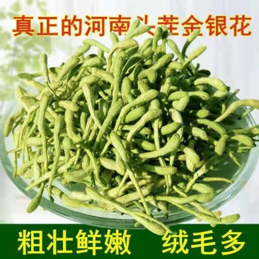 正宗金银花河南封丘带绒毛金银花新货金银花特级无硫干金银花